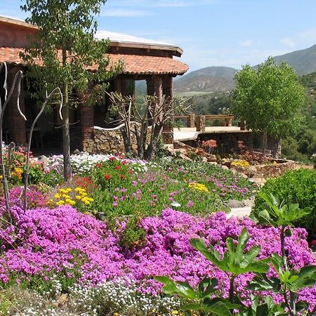 Quinta Maria En La Ruta Del Vino Bed & Breakfast Valle de Guadalupe Exterior foto