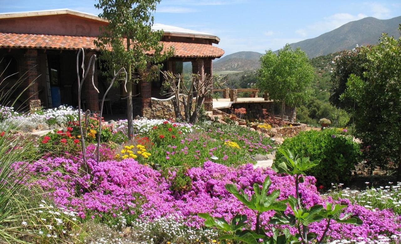 Quinta Maria En La Ruta Del Vino Bed & Breakfast Valle de Guadalupe Exterior foto