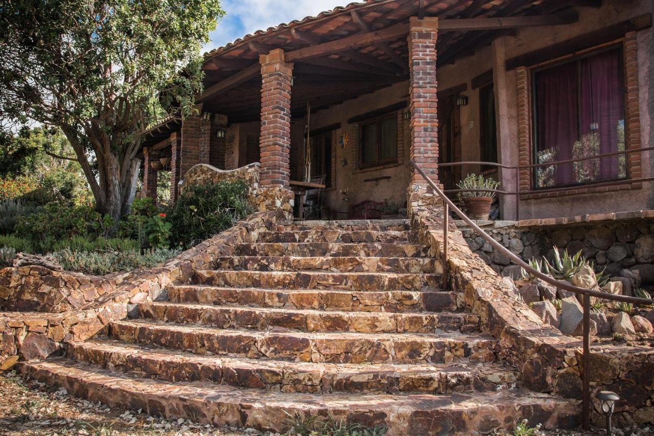 Quinta Maria En La Ruta Del Vino Bed & Breakfast Valle de Guadalupe Exterior foto