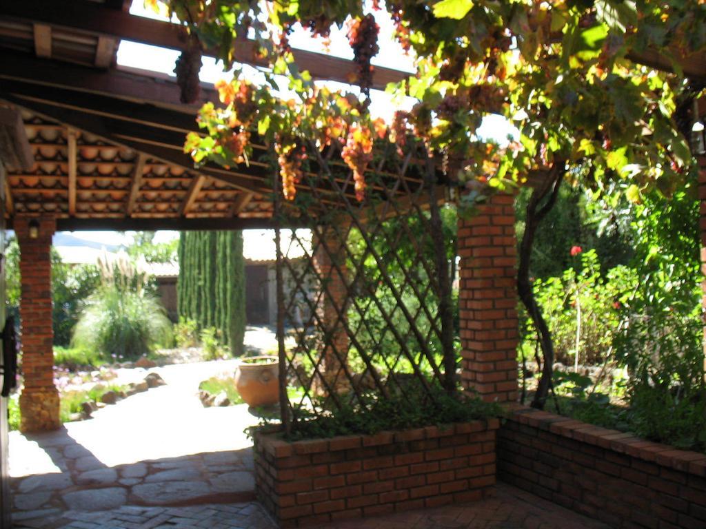 Quinta Maria En La Ruta Del Vino Bed & Breakfast Valle de Guadalupe Exterior foto